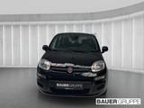 Fiat Pandina 1.0 GSE Hybrid 48 kW Icon - schwarze Fiat New Panda