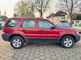 Ford Maverick XLT Highclass 4x4 Allrad *AHK+Leder+GSD - Ford Maverick Gebrauchtwagen