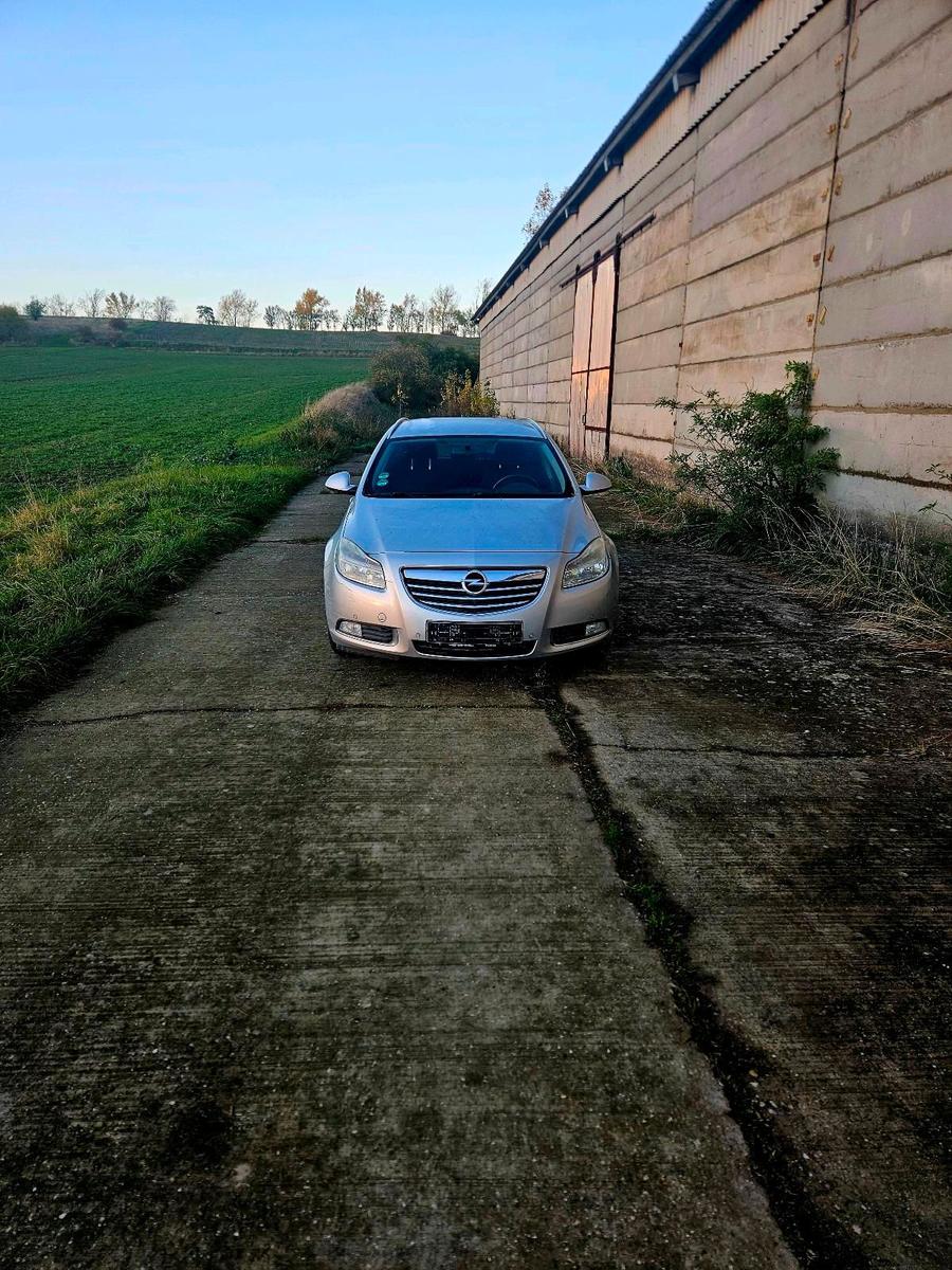 Opel Insignia 2009 — rear view