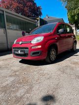Fiat Panda 1.2  Tüv 01/26 - Fiat Panda aus 2014