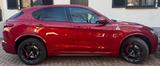 Alfa Romeo Stelvio 2.9 Bi-T. V6 375kW Quadrifoglio AT8-... - Alfa Romeo: Quadrifoglio
