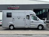 Renault Master ZF 9-GANG AUTOM. 2025er STX 5-Haras LONG - Angebote