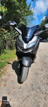 Honda Forza300  - HONDA FORZA 300