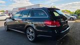 Mercedes-Benz E 220CDI-AVANTG-AUT+AHK+LEDER+LED+NAV+TEMP+TOP! - Mercedes-Benz E 220: Cdi T