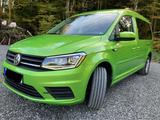 Volkswagen Caddy Maxi Beach 4motion DSG ACC Xenon Navi - Volkswagen Caddy Maxi aus 2018