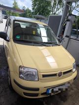 Fiat Panda - Fiat Panda Gebrauchtwagen in Essen