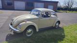 Volkswagen Käfer / Original / Versiegelt / Top Zustand - VW Käfer Gebrauchtwagen in Dortmund