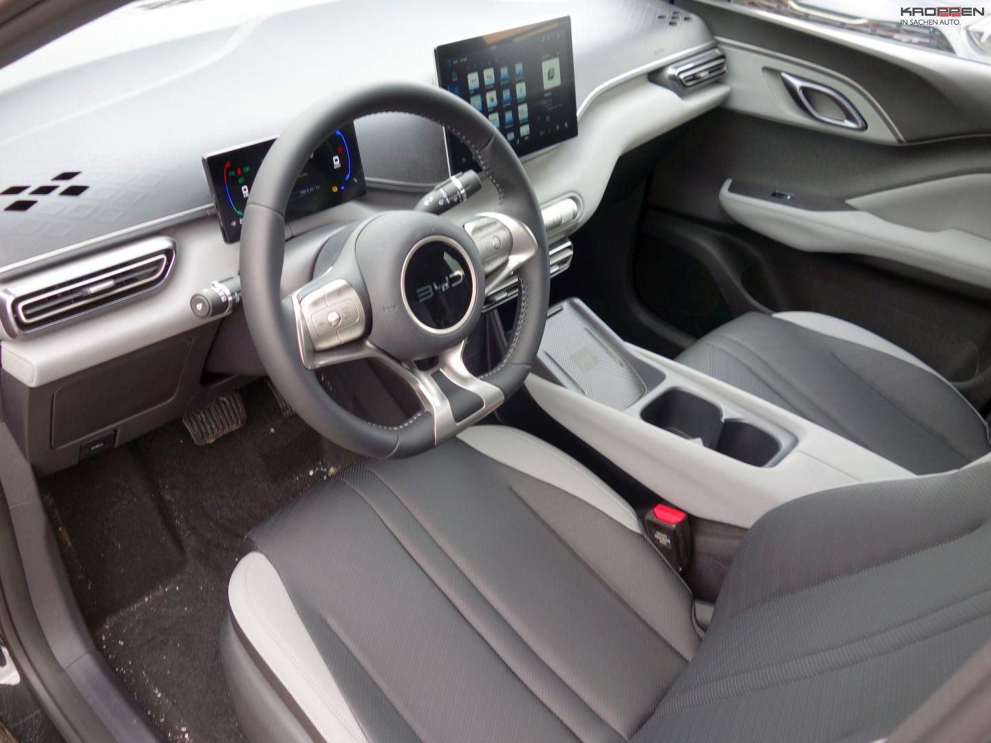 BYD DOLPHIN SURF