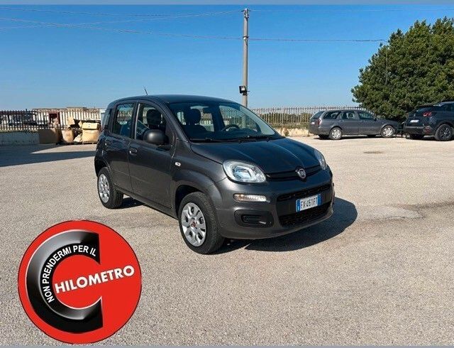 Image of Fiat Panda