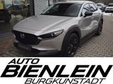 Mazda CX-30 2.5 140PS 6AG Nagisa Bose Voll-LED Kamera  - silberne Mazda CX-30