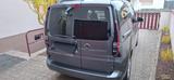 Volkswagen Caddy 1,5TSI 84kW BMT Life  - VW Caddy von privat