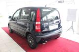 Fiat Panda 1.2 8V Dynamic AUTOMATIK - Fiat Panda Dynamic mit Benzin-Antrieb