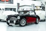 Austin Healey 100/6 BN4 I Sport Rallye I Weber I Sidepipes - Austin Healey: Bn4