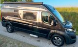 La Strada Avanti L  AUTOMATIK Clesana ALARM AHK Maxi - Offers matching your search criteria