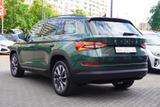 Skoda Kodiaq 2.0 Drive 125 4x4 DSG ACC Totwinkel AHK - Skoda: Grün