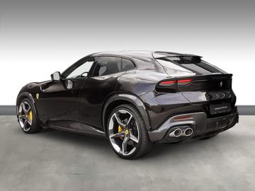 صورة 2 لـ 2023 Ferrari PUROSANGUE