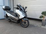 Honda Forza 125 - 6 Jahre Garantie - BENZIN ROLLER