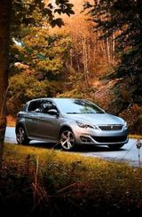 Peugeot 308 GT Line 131 sparsame PS Zahnriemen gemacht  - mit Benzin-Antrieb: Sparsame