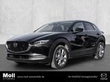 Mazda CX-30 2025 2.5L e-SKYACTIV G 140ps 6AT FWD Exclu