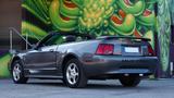 Ford Mustang 3.8L V6 Cabrio | New Edge GT ... - gebrauchte Ford Mustang aus dem Jahr 2003