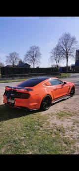 Ford Mustang 5.0 Ti-VCT V8 GT GT - Ford Mustang in Lübeck