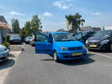 Fiat Panda 1.2 1.Hand Klima Zahnriemen TÜV - Fiat Panda in Bonn