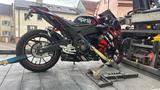 Aprilia RS 125, Piaggio  11 KW 124ccm, - APRILIA SPORTLER RS 125