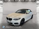 BMW 220i Cabrio M Sport Navi Harman/K PDC LED - BMW 220 in Dortmund