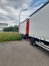 Hofmann Tautliner - Tautliner