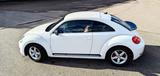 Volkswagen VW Beetle 2.0 TSI DSG Sport Sport  Weiß ... - VW Beetle Gebrauchtwagen in Berlin
