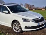 Skoda Octavia 1.5 TSI DSG CLEVER Pano AHK + Reifenset - Skoda Octavia Gebrauchtwagen in Münster