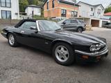 Jaguar XJS - Jaguar XJS aus 1995: Cabrio