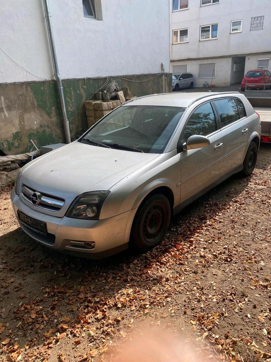 Opel Signum 2006 — photo 7