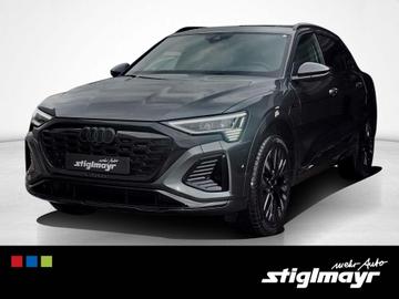 2024 AUDI Q8 E-TRON — миниатюра 11