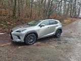 Lexus NX 300 h - Lexus aus 2019