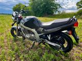 Suzuki GS500E - Familienzuwachs schlägt Fahrspaß - SUZUKI GS500E