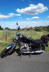 Honda CX 500 C PC01 - Angebote