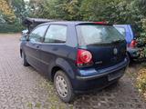 Volkswagen Polo 1.2 40kW Sportline - Volkswagen Polo: 40