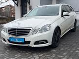 Mercedes-Benz E 350 E T-Modell E 350 CDI BlueEfficiency - Mercedes-Benz E-Klasse aus 2009: T Modell