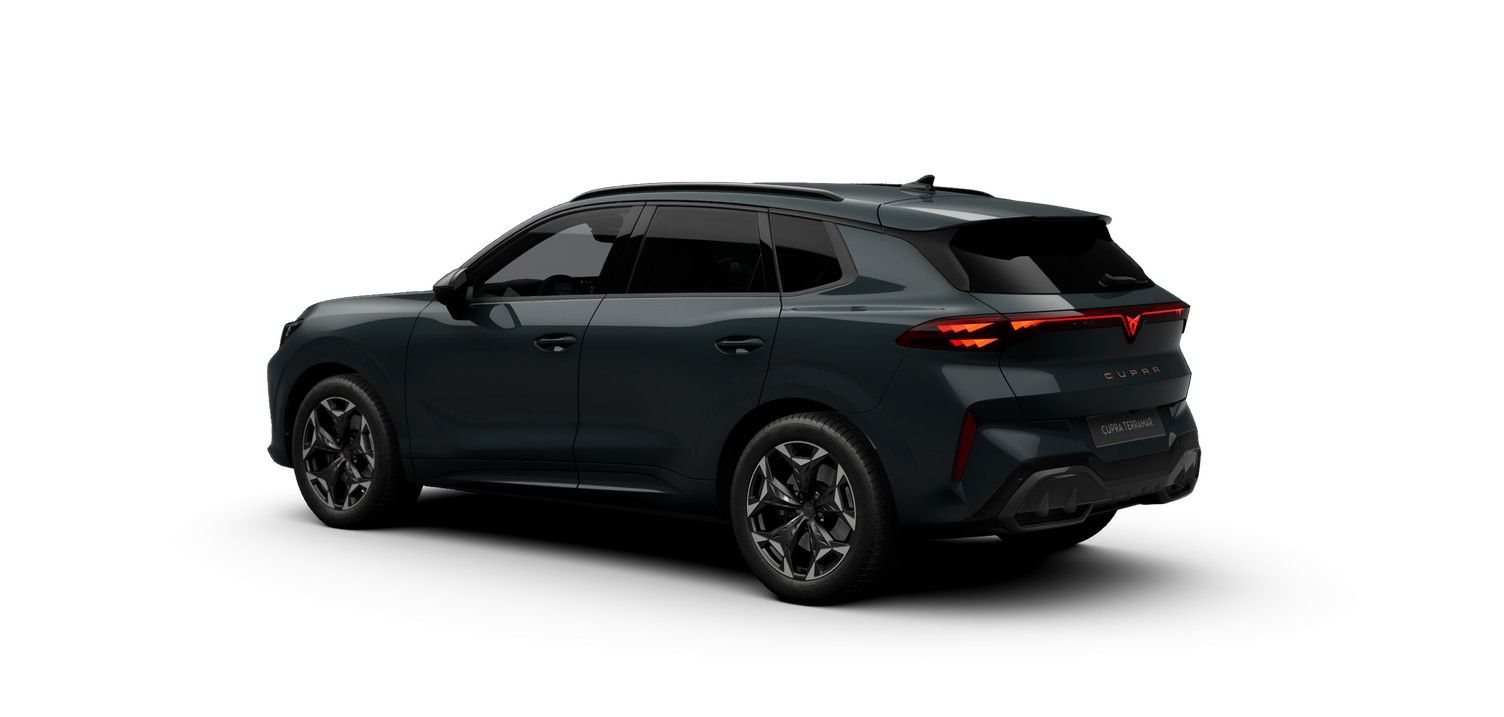 Cupra Terramar - Bild 3