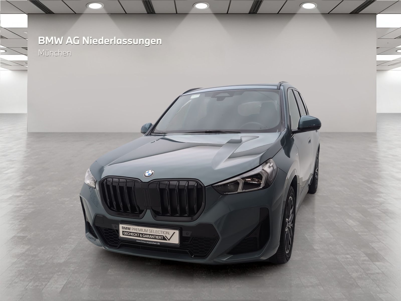 BMW X1 xDrive23i M Sport Kamera Pano.Dach LED foto 3