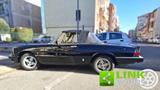 Alfa Romeo ALFA ROMEO Spider 2.0 - Alfa Romeo Spider aus 1984