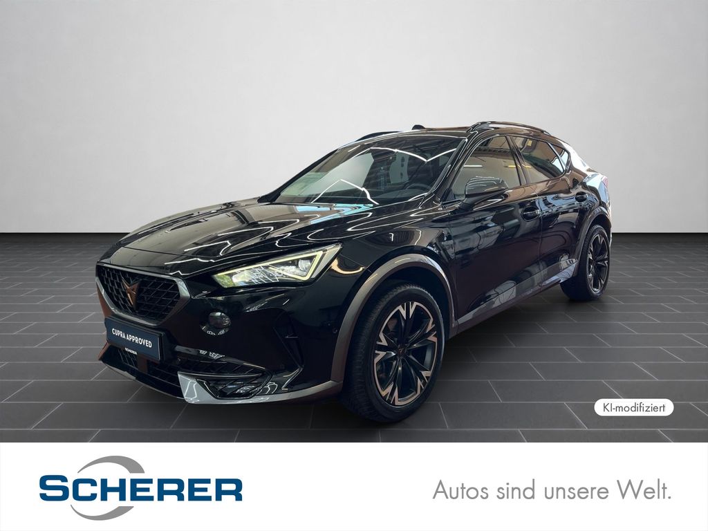 Formentor 2,0 TDI DSG 4x4 NAVI/LED/RFK/Sitzheizu