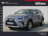 Lexus NX 300h Executive Line - Lexus aus 2021