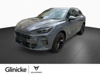 Cupra Terramar - Vorschau Bild 1