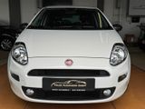 Fiat Punto Young / Schaltgetriebe / Klima - Fiat Punto aus 2016
