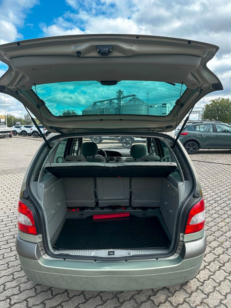 Fahrzeugabbildung Renault Scenic