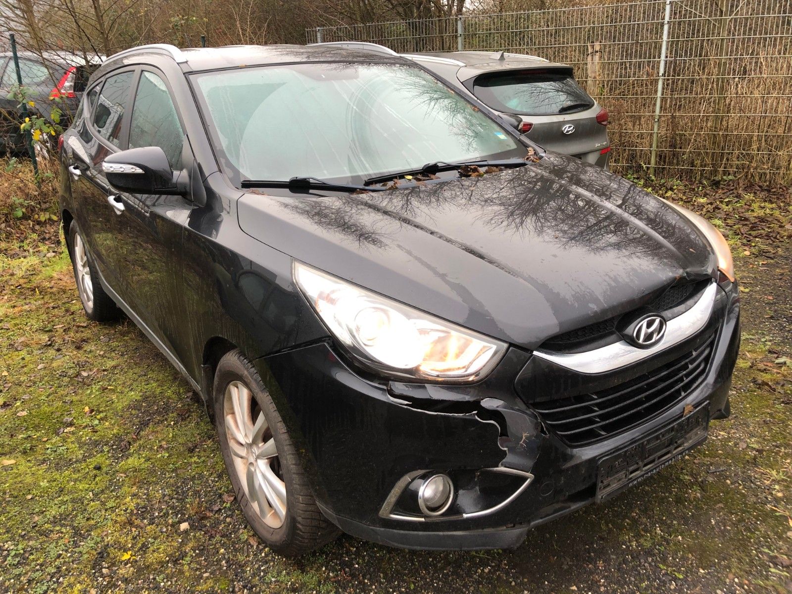 Fahrzeugabbildung Hyundai ix35 Style 2WD Wildschaden