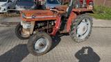 Massey Ferguson MF 135 - Massey Ferguson Schlepper