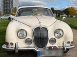 Jaguar S-Type 3,8 S, guter Zustand, H und ... - Jaguar S-Type: 3.8